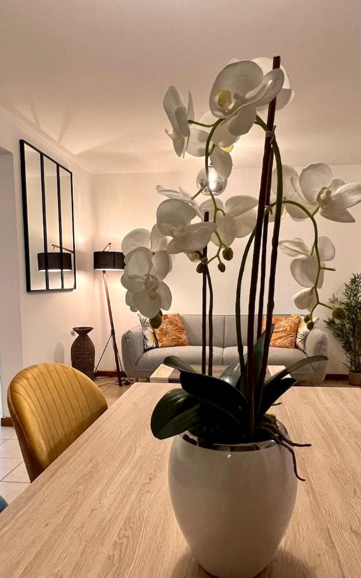Chez Gerard Apartment Saint Pierre Luaran gambar